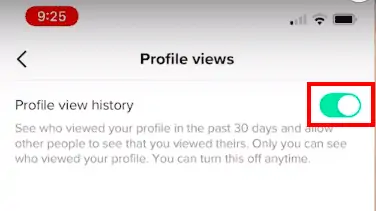 TikTok Profile Viewing: How to See Who Viewed Your Profile – Plann
