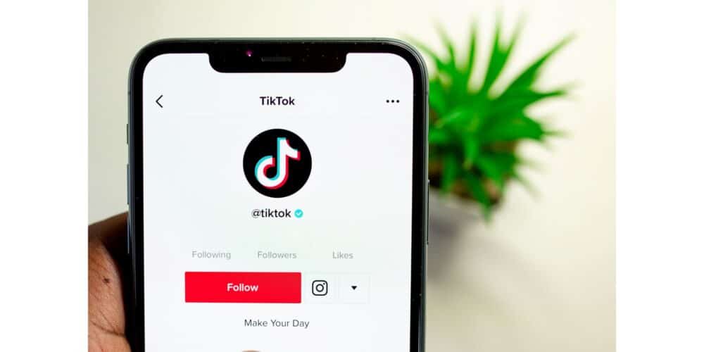 tiktok for beginners