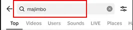 search bar tiktok